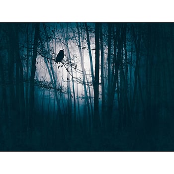 Galerie Wallcoverings Product Code WH45274M - Welcome Home Murals Wallpaper Collection - Blue, Grey, Black Colours -  